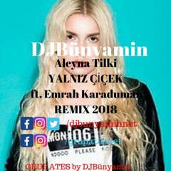 Aleyna Tilki -- Yalnız Çiçek REMIX 2018 (Official Remix)