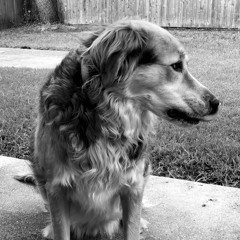 Dj Witt - Sunrise 6/8/18