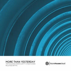 Tom Wilson & Danny Lunt - More Than Yesterday (ft. Citizen Shade)