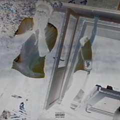 [BABYDRAGON]: FIRST AND FINAL [prod. t_n490]