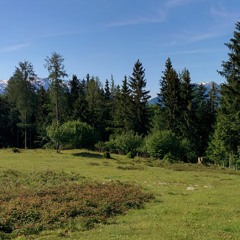 dawn at kappacher huettn
