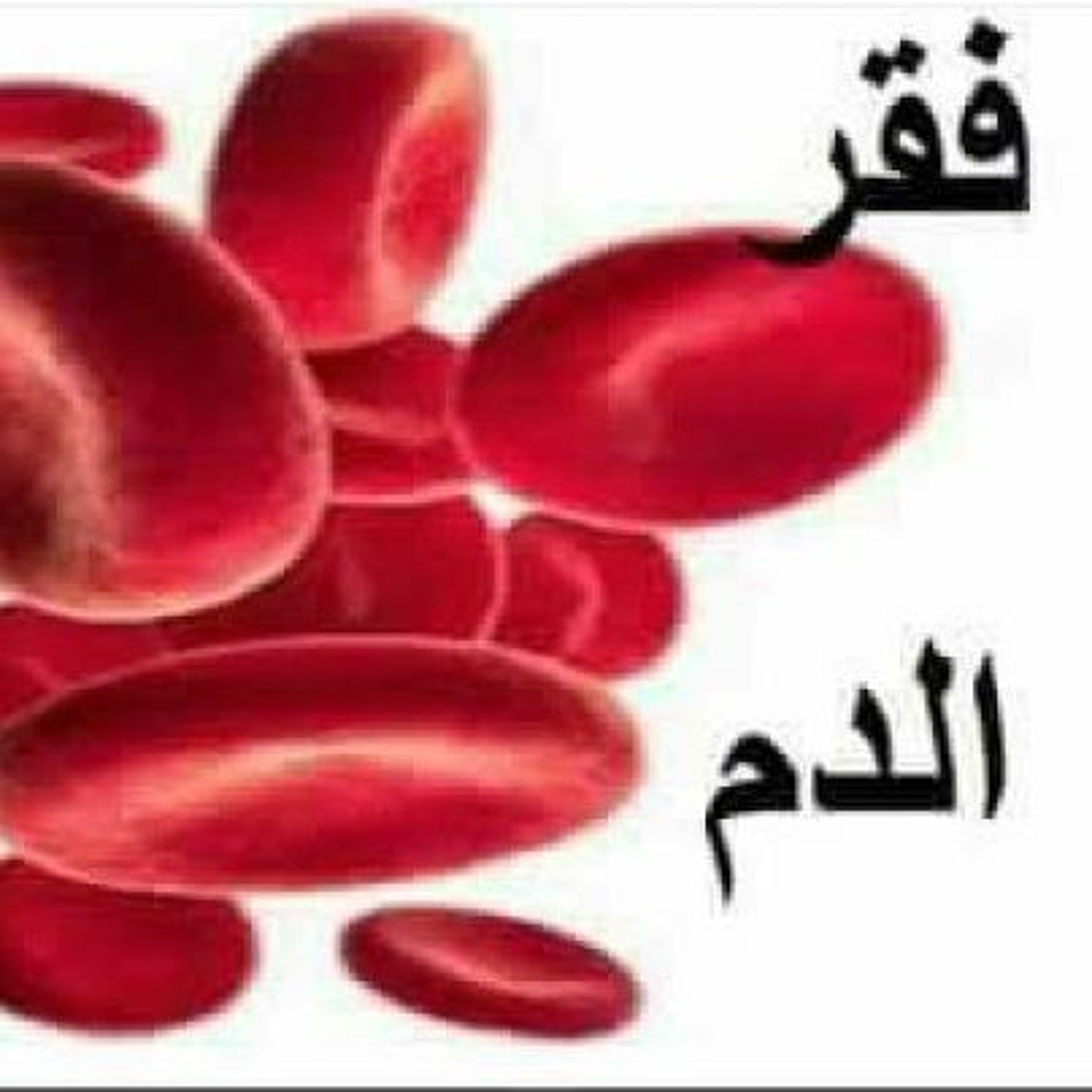 صحتكم تهمنا