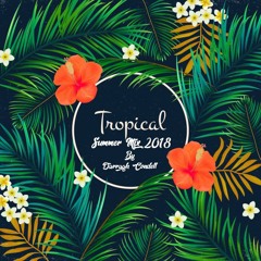 Tropical Summer Mix 2018