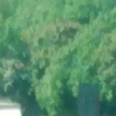 Cool Beanz Instrumental