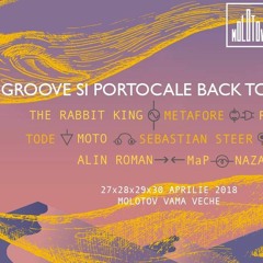 Tode after set @ Molotov Vama Veche 1 MAY CUT [Groove Și Portocale] \\  27.04 - 1.05.2018