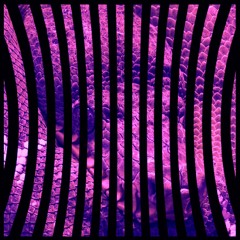 Eliminate - Snake Bite VIP (TOO KIND Quickie Edit)