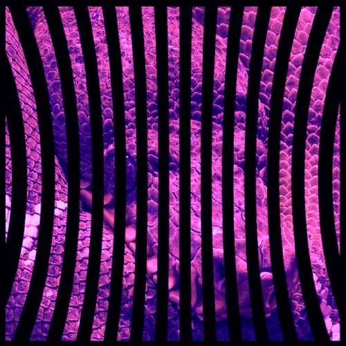 Eliminate - Snake Bite VIP (TOO KIND Quickie Edit)