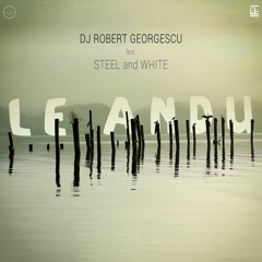 DJ Robert Georgescu  X  Steel And White - Le Andu ( Club Edit )