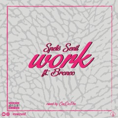 Work - Spete Senil X J.R Bronco
