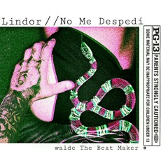 No Me Despedí // Lindor ❌ Walde the beat maker