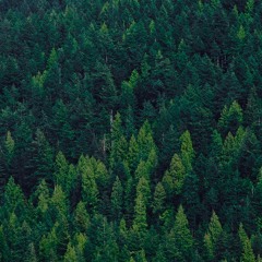 Concussed (Prod. McNiffy)