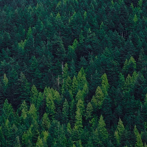 Concussed (Prod. McNiffy)