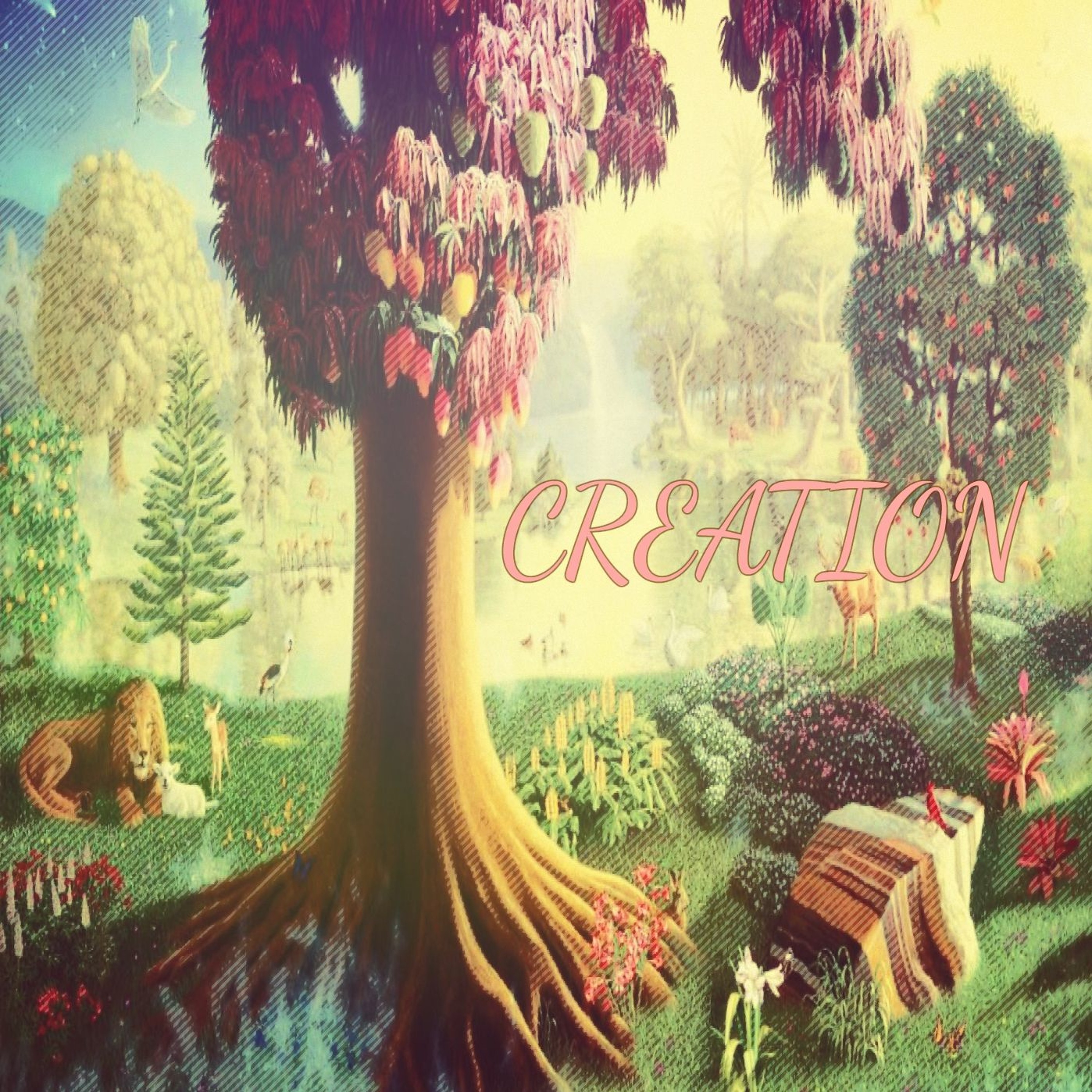Creation (Ch 1-6) episode artwork
