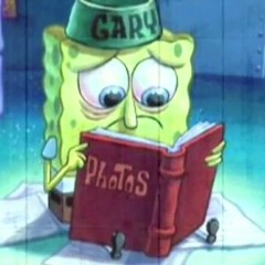 all snails are the same