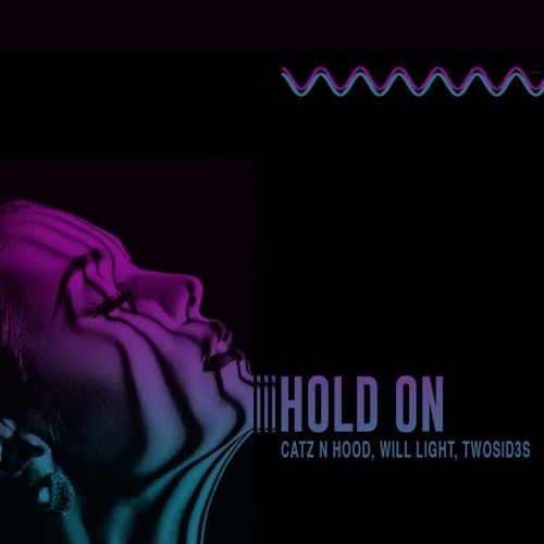 Catz N Hood, Will Light, Twosid3s - Hold On