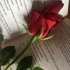 when i die bury me with a rose