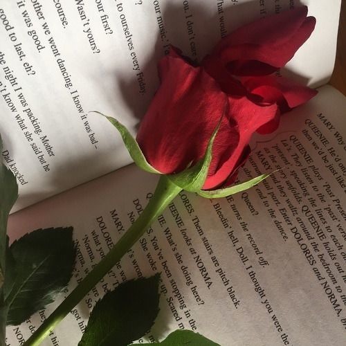 when i die bury me with a rose