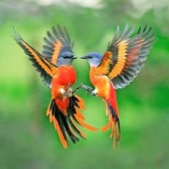 •.¸*♫♪♥d(◠‿◠✿)b♥♫♪*¸.•