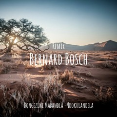 Ndokulandela (Bernard Bosch Bootleg)