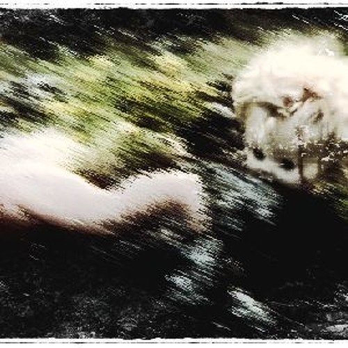 BISHOV - BABYSTRICH  ||  DARK TECHNO TRACK