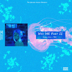 Why Me {Part II} (feat TBN) [prod. by Shaba Stele]