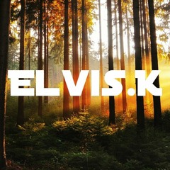 Elvis.K - Erinnerung
