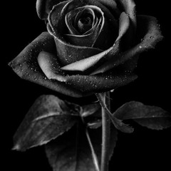 patron&ciroc [E/X] (Prod.Nor'Ledges)