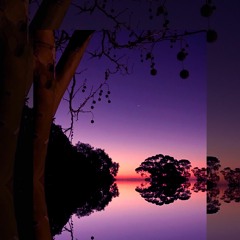 yeesh (prod. boler mani)