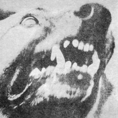 attack dogg