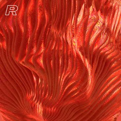 Burnt Peach (Royce Wood Junior Remix)