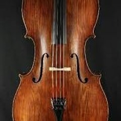 Le violoncelle des terres noires V3