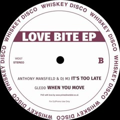 PREMIERE: Gledd - When You Move [Whiskey Disco]