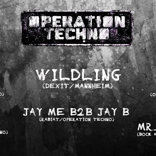 Wildling @ Tiefgang, Hannover | Operation Techno #10 | 08.06.18