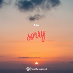 Calu - Sorry (Free Download)