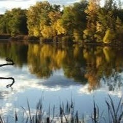 The Cyberia House Band - Across The Pond