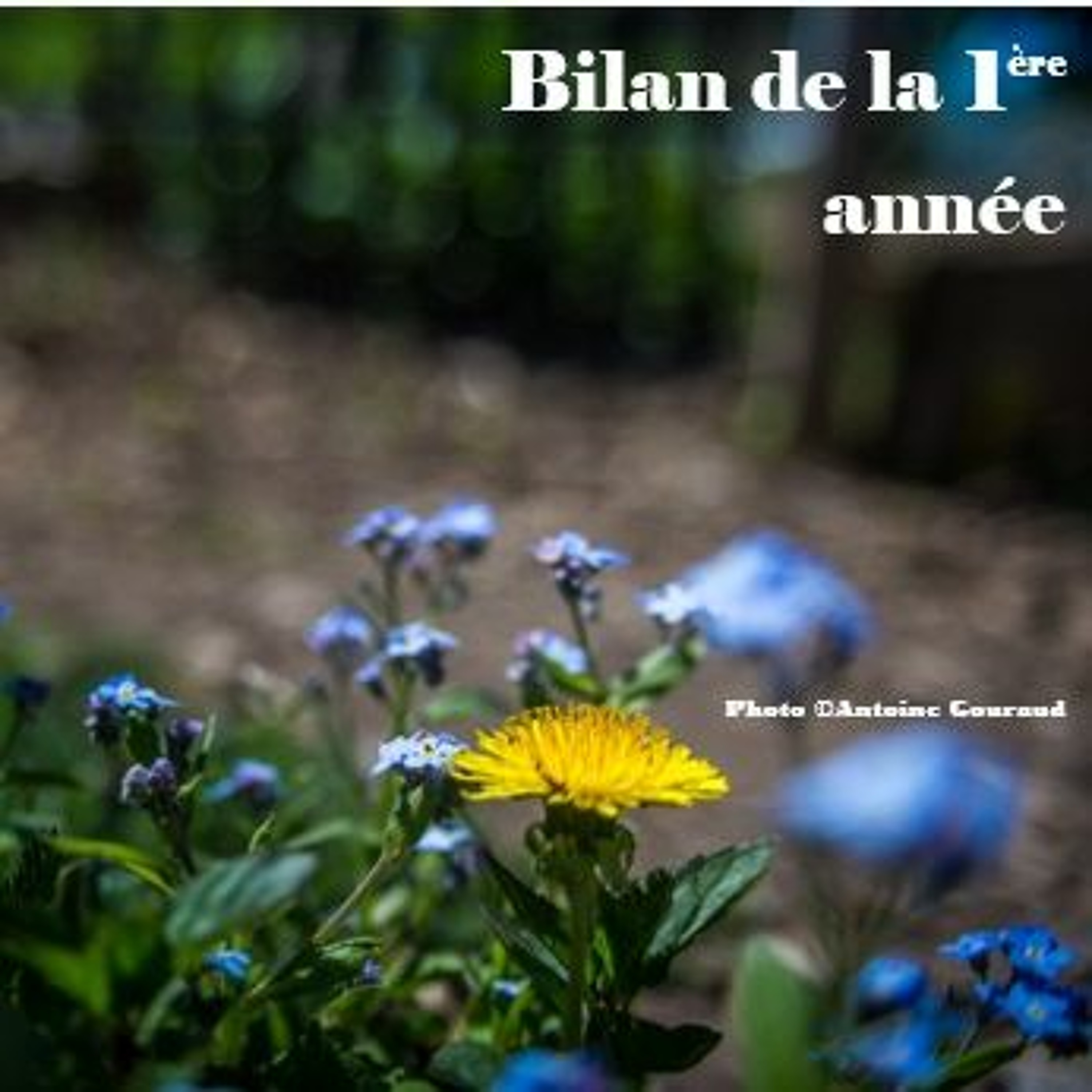 Fin de l'année 1 - Bilan !