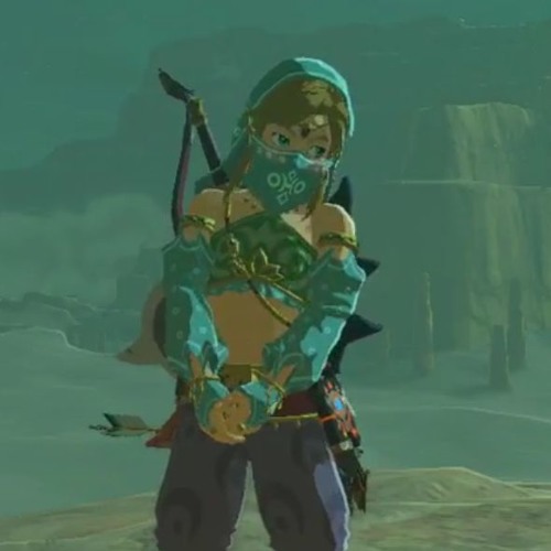 Gerudomuchi (Zelda x Gachimuchi)