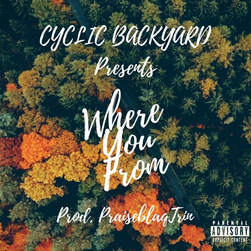 Where You From(ft. Diaz, Simiousa, Manolo SLV & Tobias Shabes)
