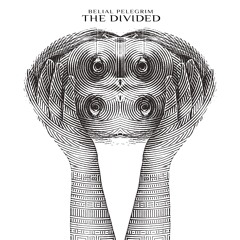 The Divided