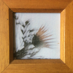 Full Circle (Unconditional Love Mix)