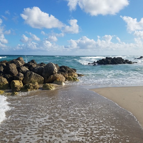 Beach Level