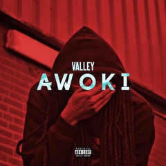 VALLEY - AWOKI "OFFICIAL"