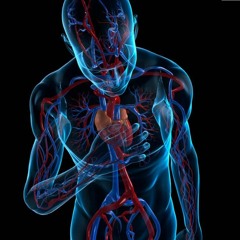 La Enfermedad De Emak Bakia