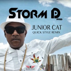Junior cat Style Quick