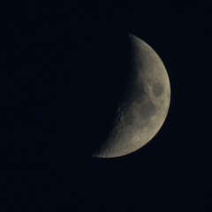 The Poet's Interlude.