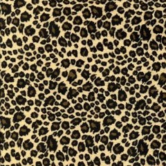 forget-me-nots/fashionably late WIP