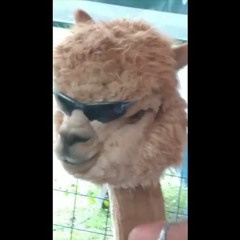 Fuck Our Lives "You And Me - FLUME" [Ant Eaters Anthem]