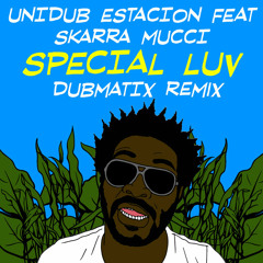 Special Luv feat. Skarra Mucci (Dubmatix RMX)