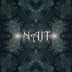 Najt - Trascendental(original mix)