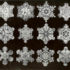 Through your mind :: Mikenite & Lightning Jack (one take live hardware mix)